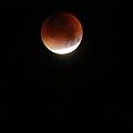 D_20150928-040412 IMG_7626 a